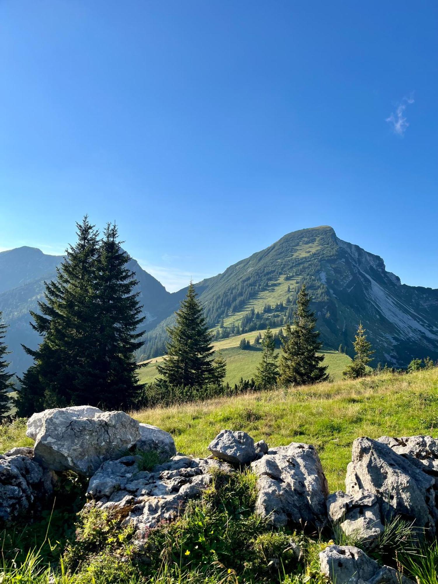 Appartamento Ferien Am Sonnberg Unken Esterno foto